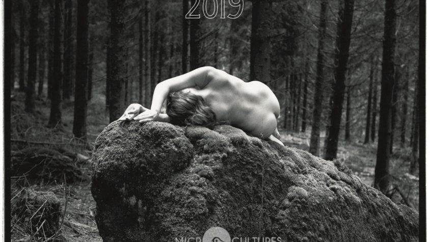 Festival Walden #3