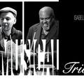 BrasilMusical