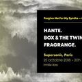 Forgive Me For My Synths: Hante. • Box & the Twins • Fragrance.