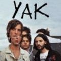 NDA 19 : Yak, The Shizophonics, Howlin'jaws