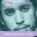 Waldman (DJ Set)