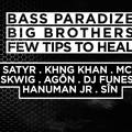 Bass Paradize x Big Brothers x Few Tips To Heal