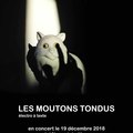 Concert Les moutons tondus