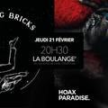 Hoax Paradise & The Flying Bricks