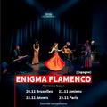Enigma Flamenco