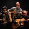Nitcho Reinhardt trio