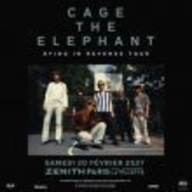 CAGE THE ELEPHANT