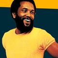 Everybody Loves Roy Ayers
