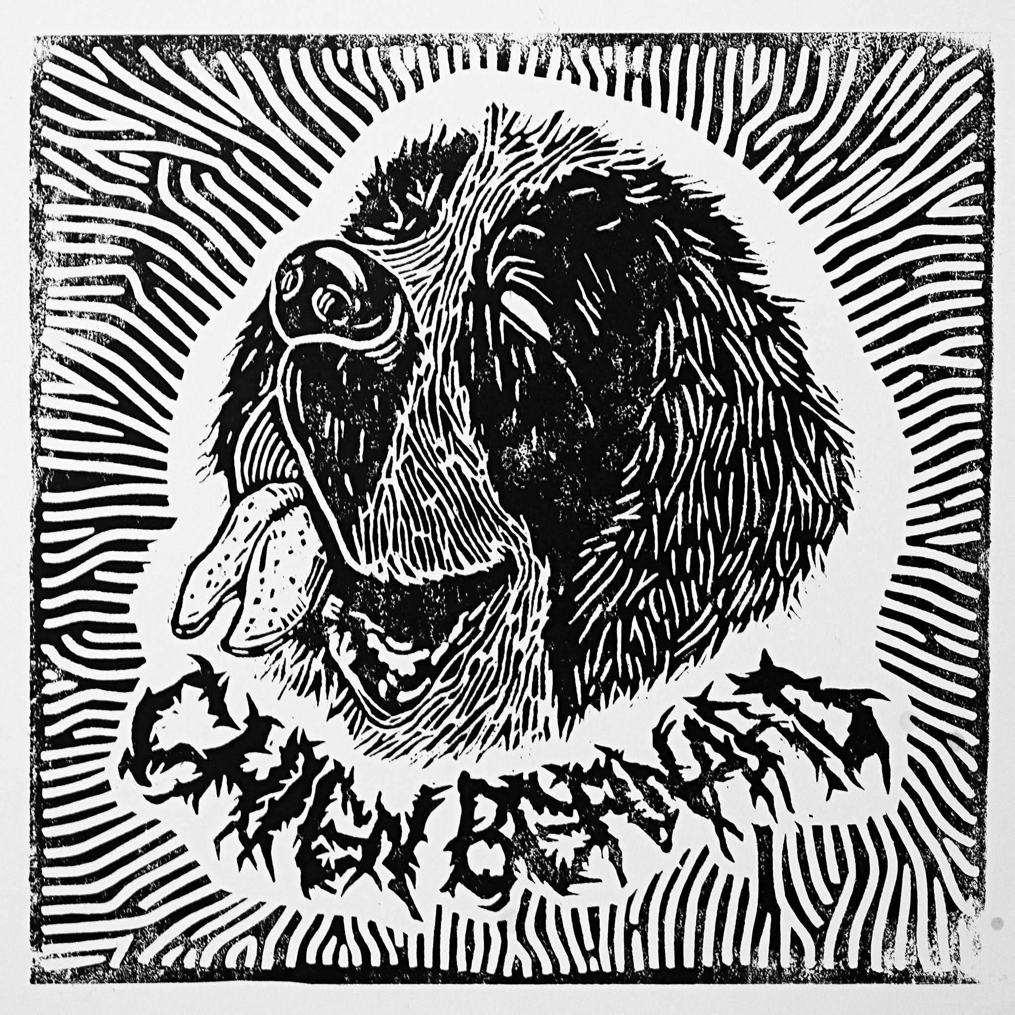 Chien bernard 1
