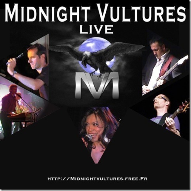 Big concert rock midnight vultures a ne surtout pas manquer 1