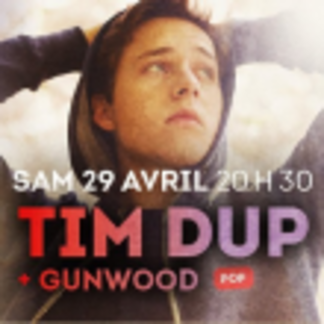 Big tim dup gunwood 1