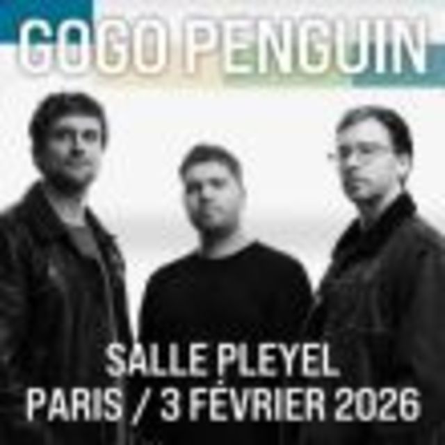 Big gogo penguin 1