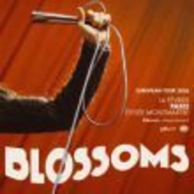 Big blossoms 1