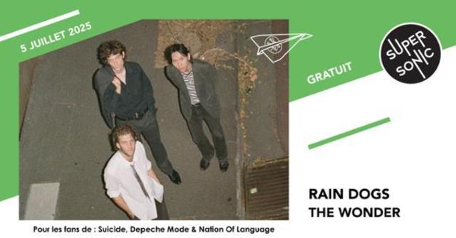 Big rain dogs the wonder 1