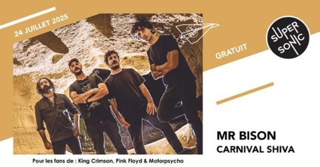 Big mr bison carnival shiva 1