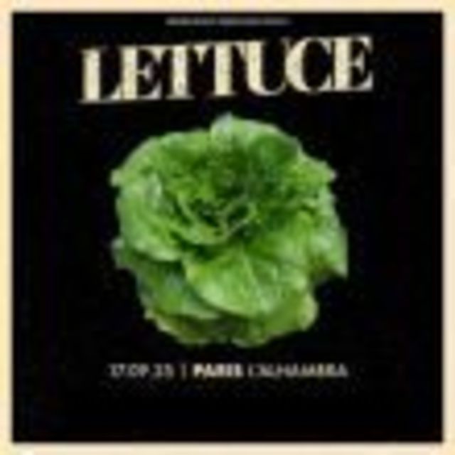 Big lettuce 1
