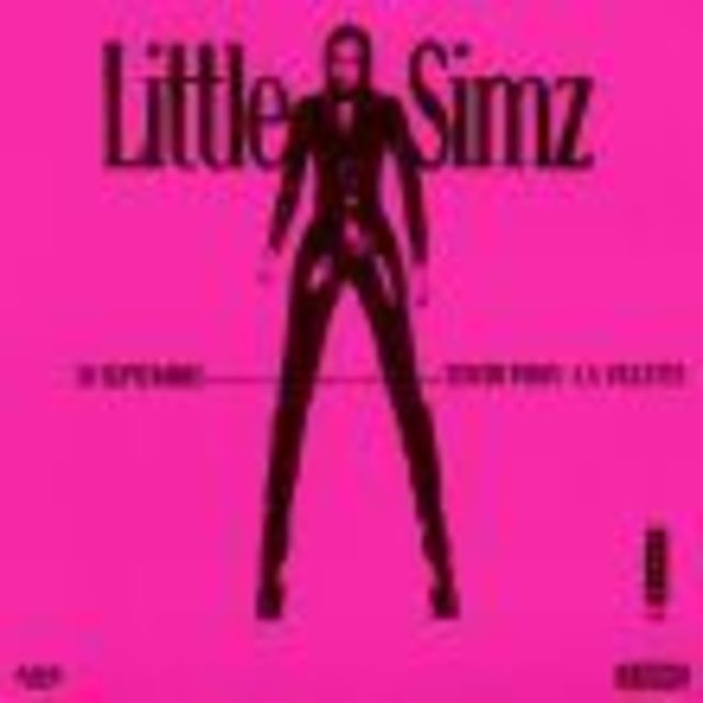 Big little simz 1