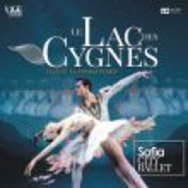 Big le lac des cygnes 1