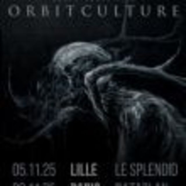 Big orbit culture 1