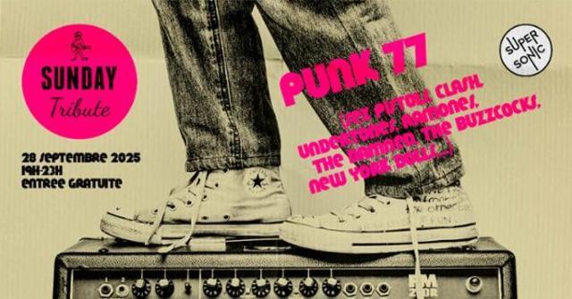 Big sunday tribute punk 77 sex pistols clash undertones ramones the damned the buzzcoks 1