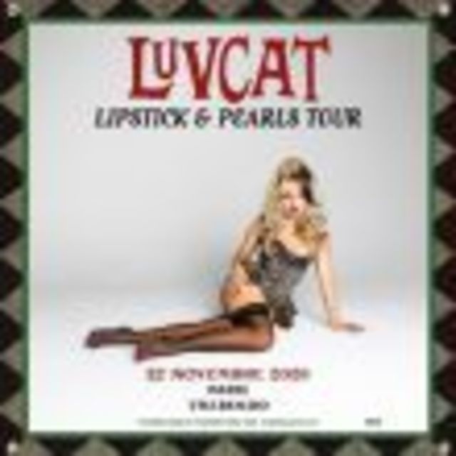 Big luvcat 1