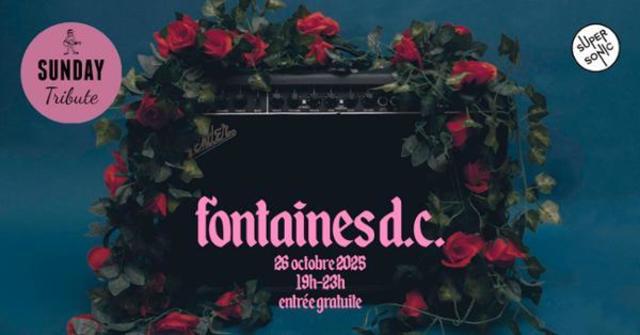 Big sunday tribute fontaines d c 1