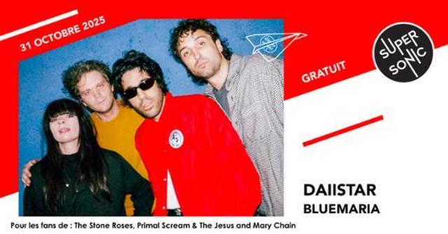 Big daiistar bluemaria 1