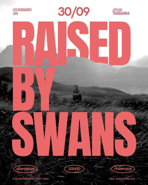 Big raised by swans 1