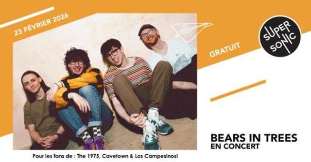 Big bears in trees 1