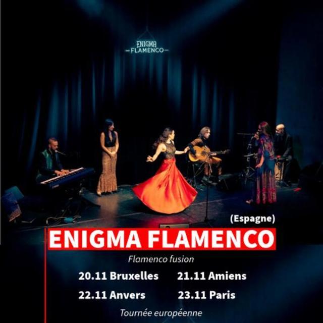 Big enigma flamenco 1