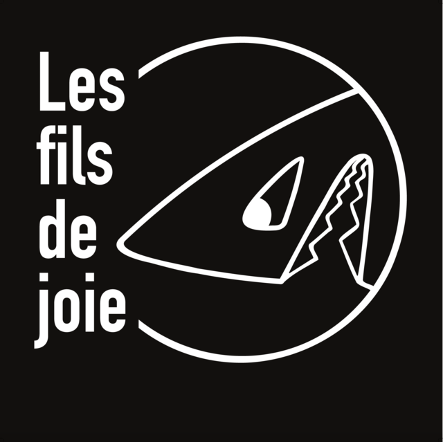 Big les fils de joie the jana s en concert a petit bain le 19 decembre 2