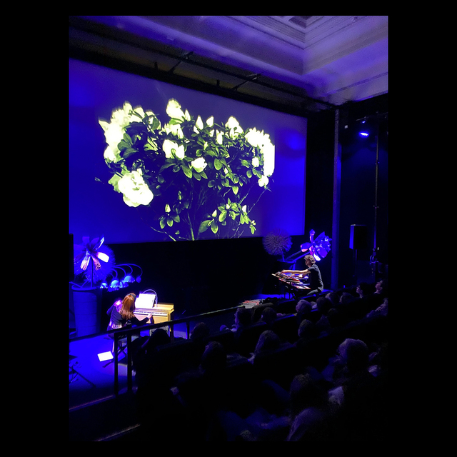 Big le miracle des fleurs 1