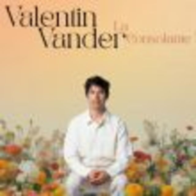 Big valentin vander la consolante 1