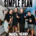 SIMPLE PLAN