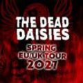 THE DEAD DAISIES