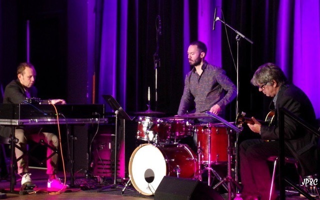 Big wib organic trio 1