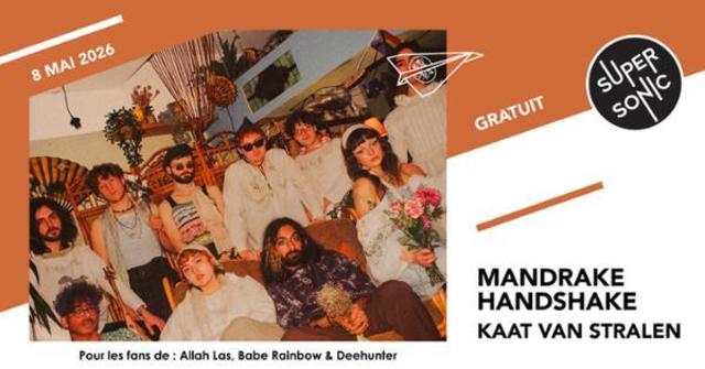 Big mandrake handshake kaat van stralen 1
