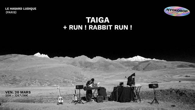 Big taiga run rabbit run 1