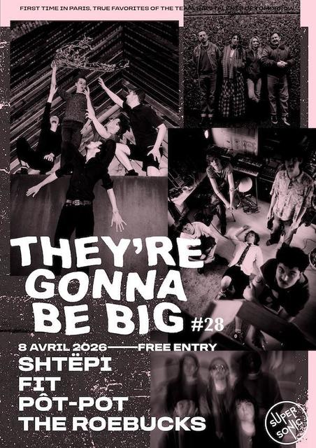 Big they re gonna be big 28 shtepi fit pot pot the roebucks 1