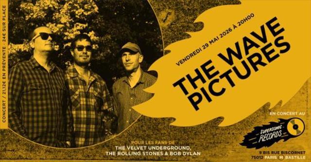 Big the wave pictures en concert cote records 1