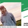 Jaguar Sun