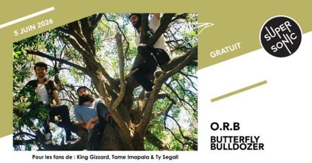 Big o r b butterfly bulldozer 1