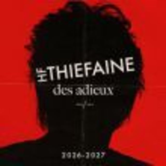 Hubert Felix Thiefaine