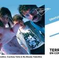 Terraplana