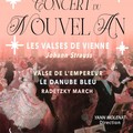 Concert du Nouvel An - Les Valses de Johann Strauss