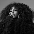 LEDISI