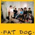 FAT DOG