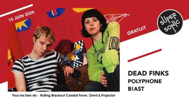 Big dead finks polyphone b ast 1
