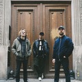 Montana, Adsuar, Renard