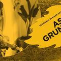 Ash Grunwald en concert (côté Records)